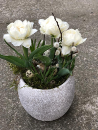 WhatsApp Image 2023-04-17 at 17.56.48 (9).jpeg