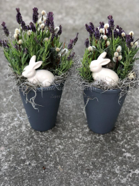 WhatsApp Image 2023-04-17 at 17.56.48 (15).jpeg