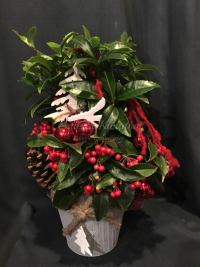 WhatsApp Image 2023-04-17 at 17.43.16 (10).jpeg