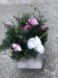 WhatsApp Image 2023-04-17 at 17.56.48 (3).jpeg