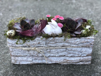 WhatsApp Image 2023-04-17 at 17.56.48 (4).jpeg