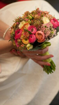IMG_0252.PNG
