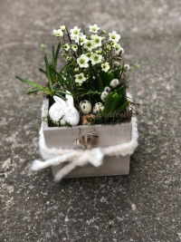 WhatsApp Image 2023-04-17 at 17.56.48 (7).jpeg