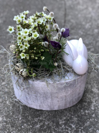 WhatsApp Image 2023-04-17 at 17.56.48.jpeg