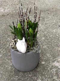 WhatsApp Image 2023-04-17 at 17.56.48 (8).jpeg