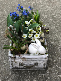 WhatsApp Image 2023-04-17 at 17.56.48 (12).jpeg