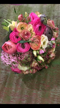 IMG_0208.PNG