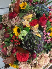 IMG_1963.JPG