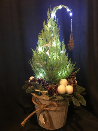 WhatsApp Image 2023-04-17 at 17.43.16 (7).jpeg