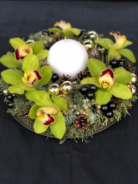 WhatsApp Image 2023-04-17 at 17.48.27 (4).jpeg