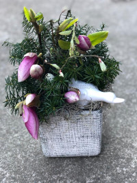 WhatsApp Image 2023-04-17 at 17.56.48 (2).jpeg