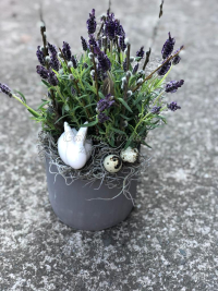 WhatsApp Image 2023-04-17 at 17.56.48 (5).jpeg