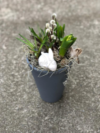 WhatsApp Image 2023-04-17 at 17.56.48 (14).jpeg