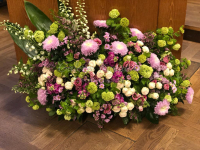 WhatsApp Image 2023-01-10 at 16.53.37.jpeg