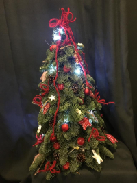 WhatsApp Image 2023-04-17 at 17.43.16 (9).jpeg