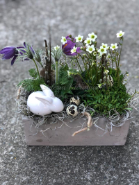 WhatsApp Image 2023-04-17 at 17.56.48 (6).jpeg