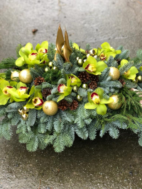 WhatsApp Image 2023-04-17 at 17.48.27 (2).jpeg