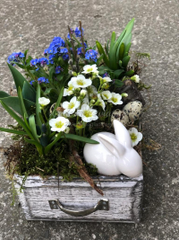 WhatsApp Image 2023-04-17 at 17.56.48 (13).jpeg